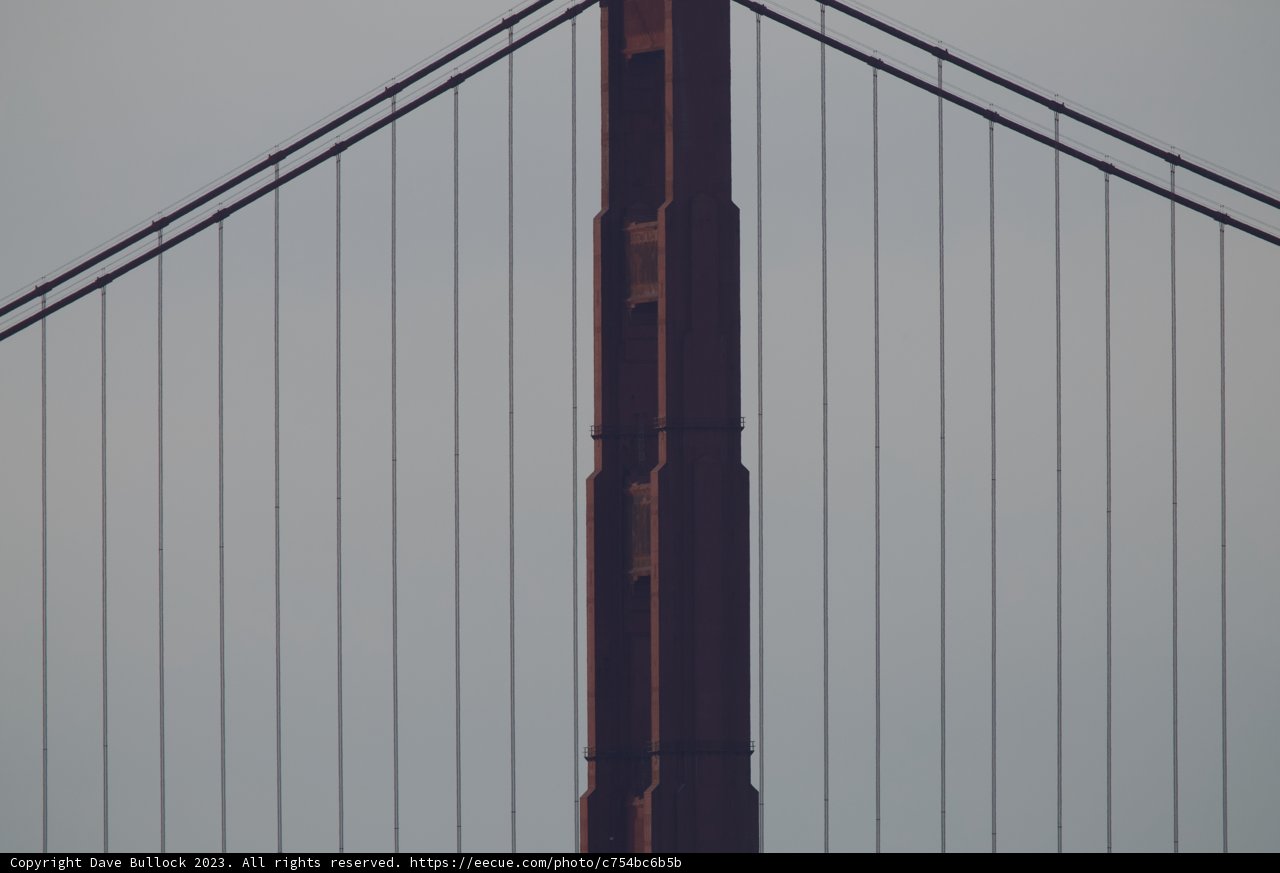 Soaring over the Golden Gate
