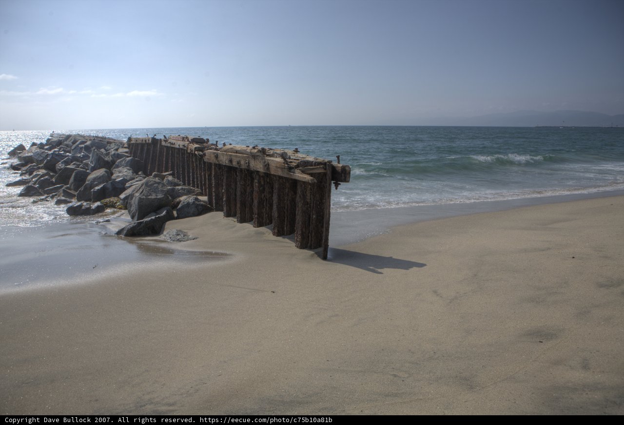 Serenity at the Shoreline