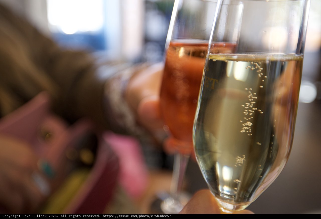 Champagne Toast at Celebratory Gathering