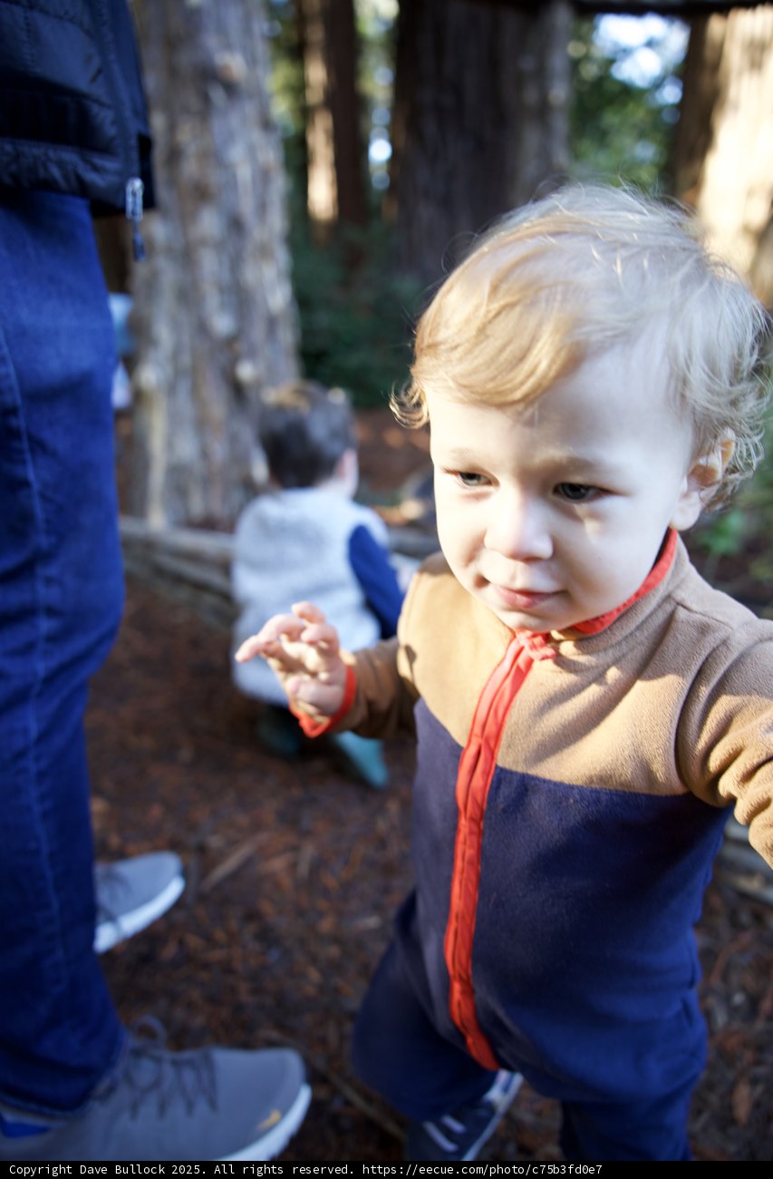 Discovering Thistlewyck