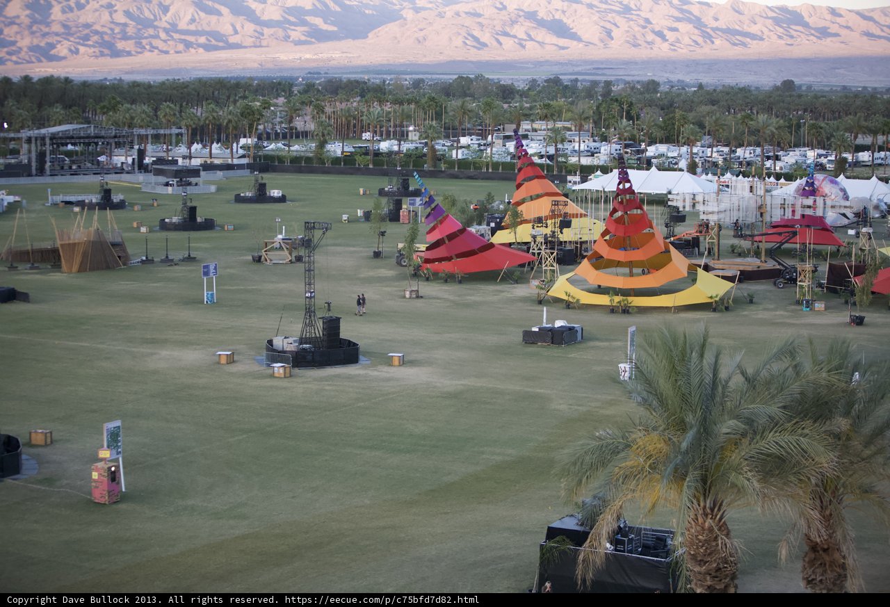 Camping under the Palm Trees