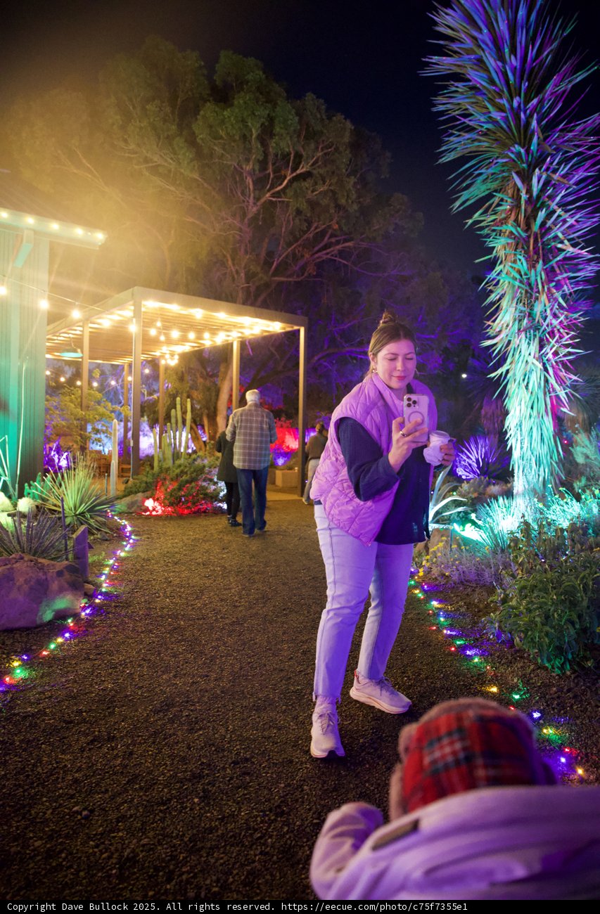 Enchanted Night at Ruth Bancroft Garden