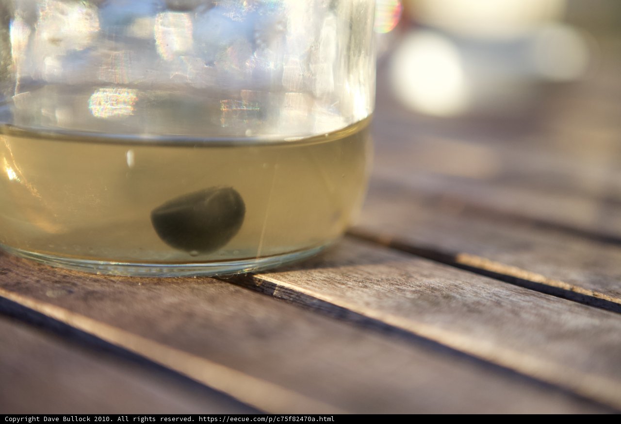 Mysterious Black Object in Glass Jar