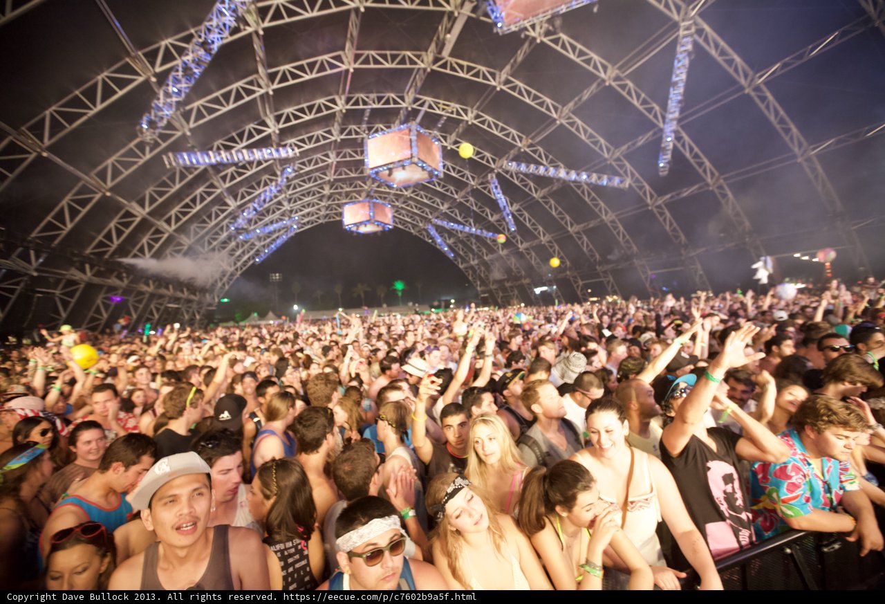 Coachella Nights