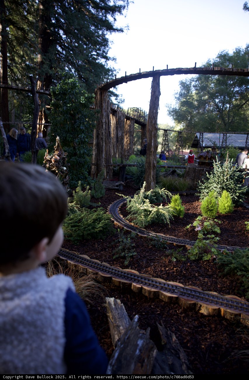 Enchanted Exploration at Thistlewyck