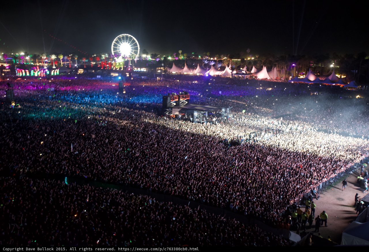Festival Fever