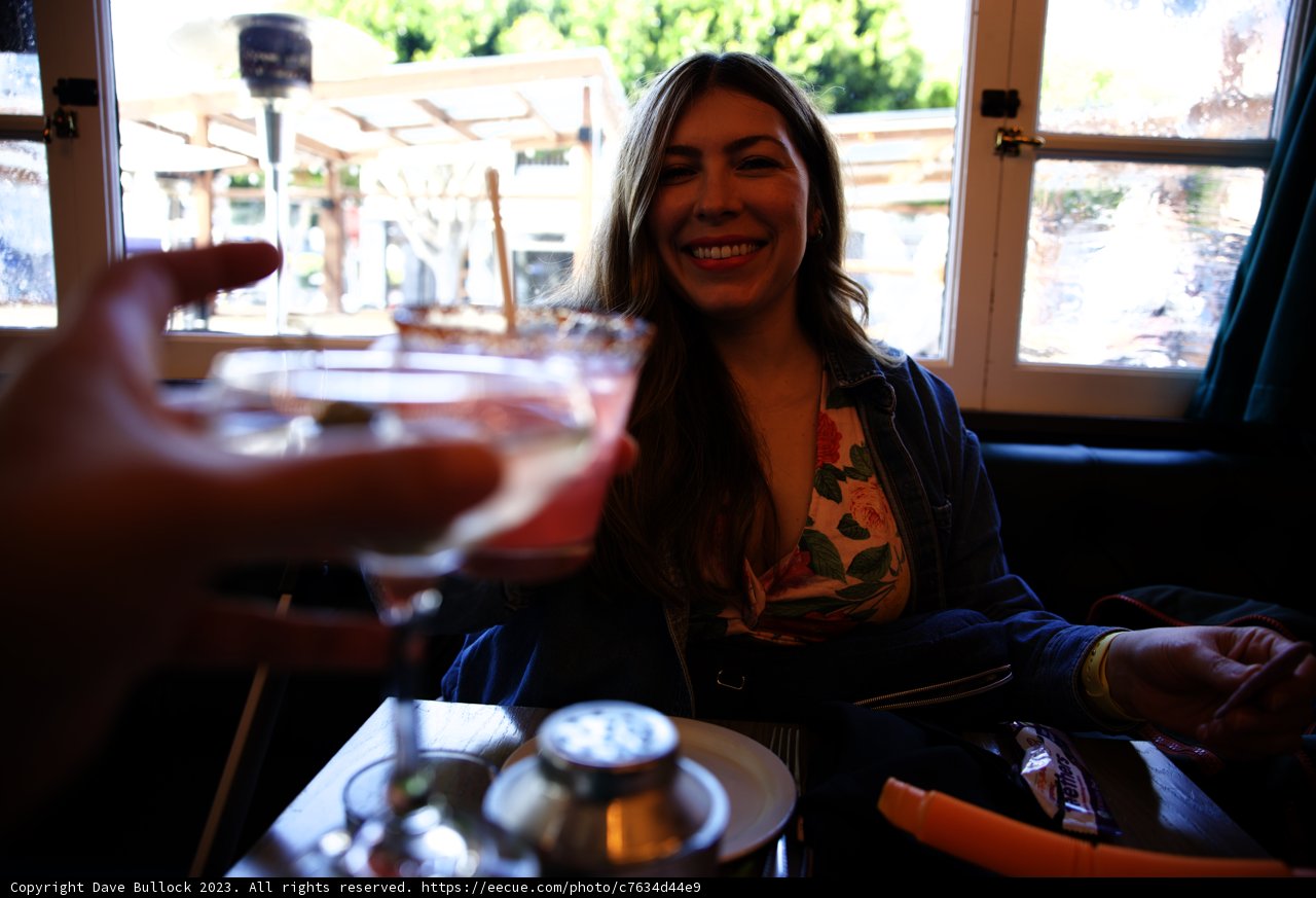 A Cheerful Toast with Friends