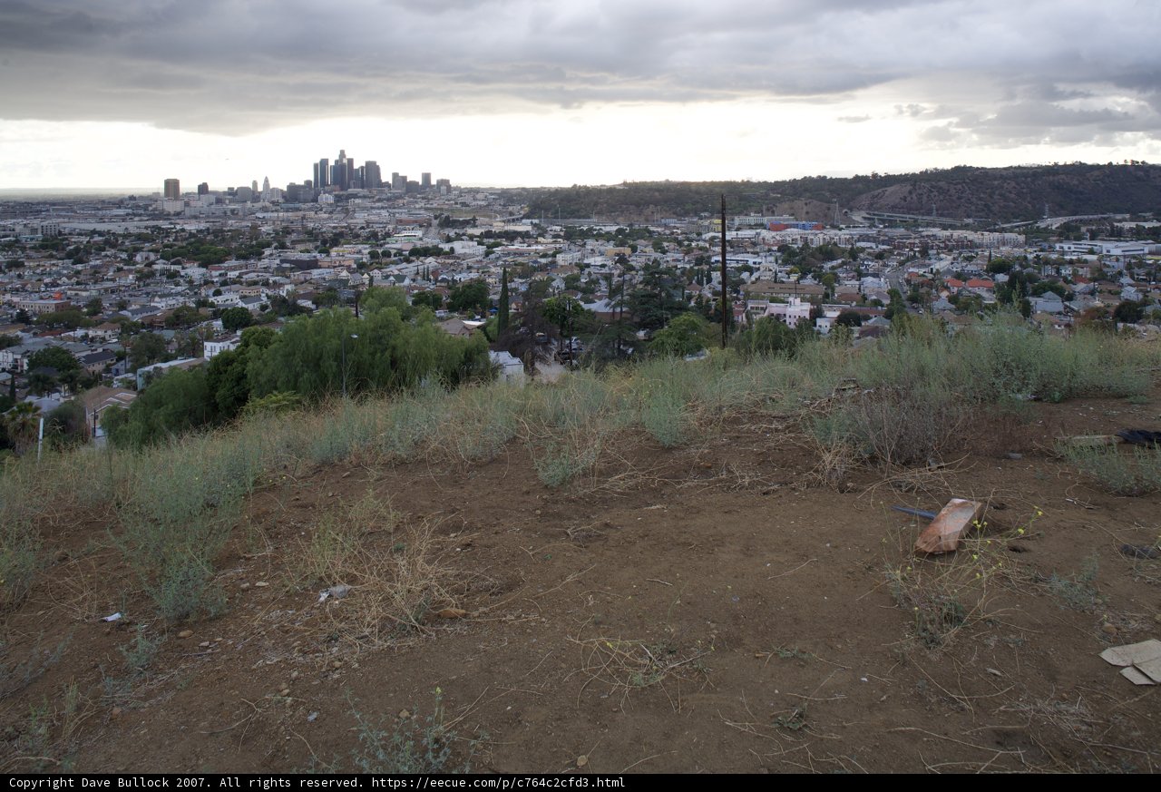 Urban Wilderness