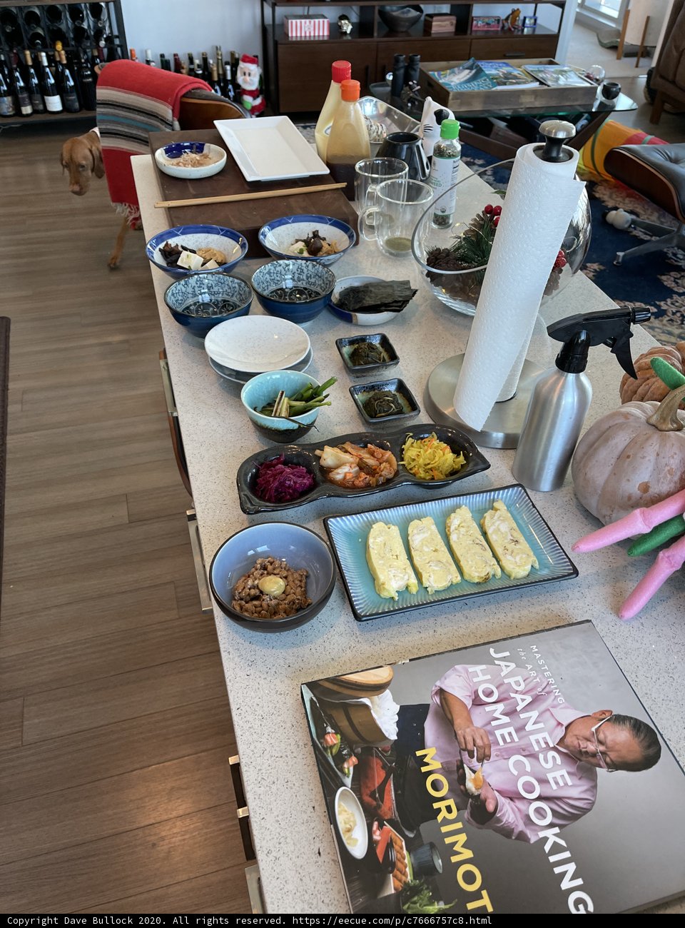Brunch with Morimoto and Fido