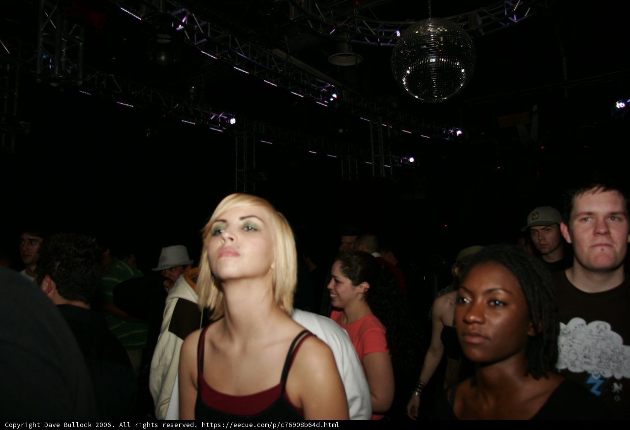 Nightlife in the Urban Jungle