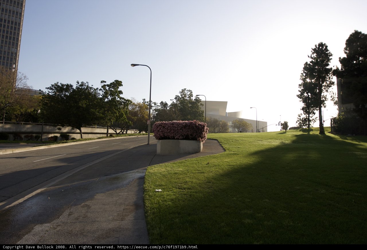 Serene Streetscape