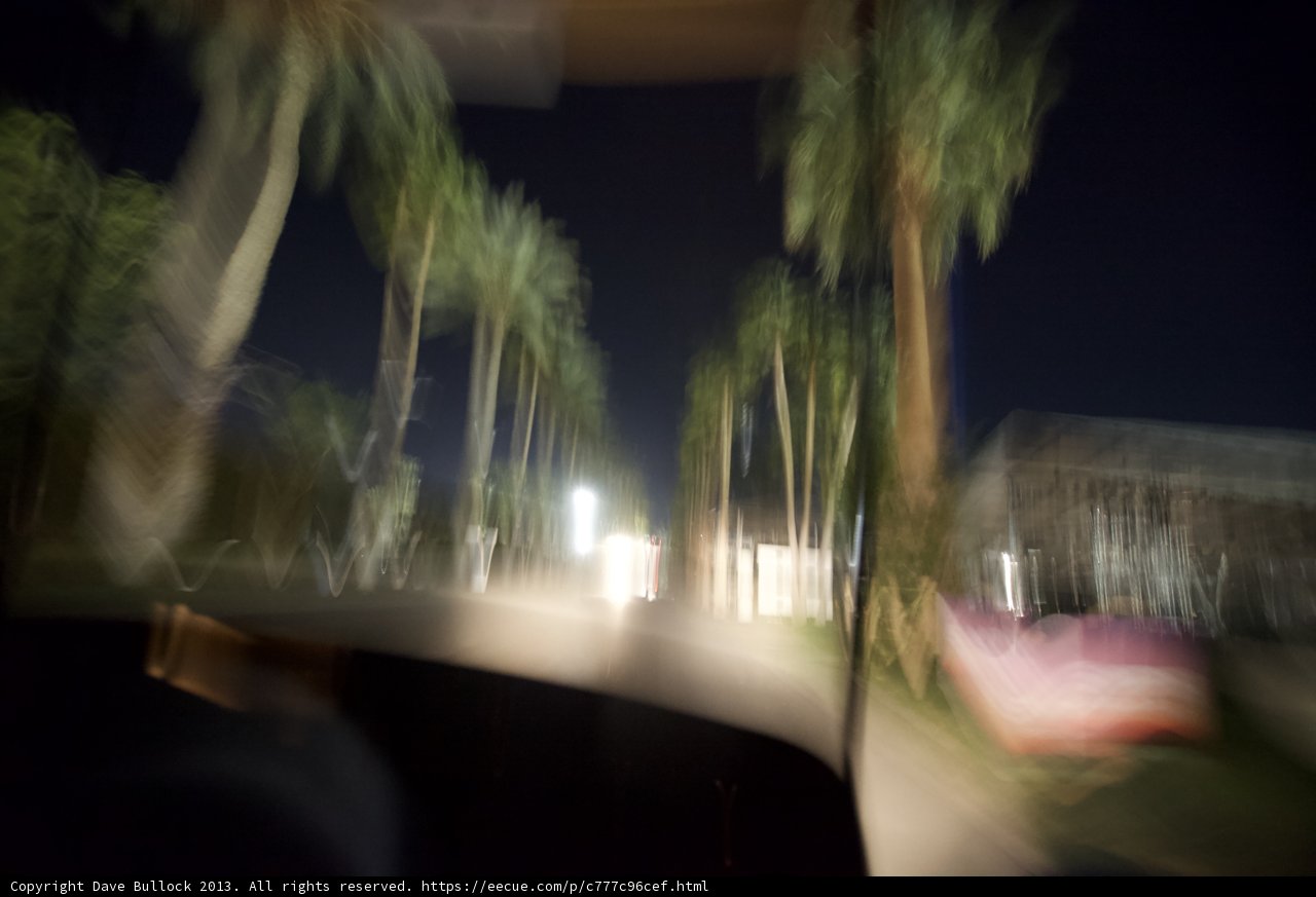 A Tropical Night in Altadena
