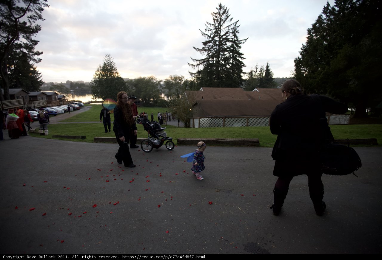 A Walk in the Evergreens