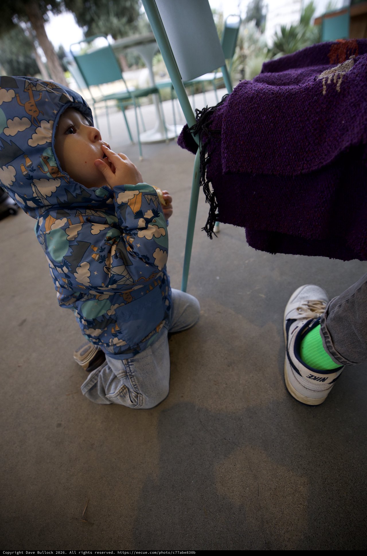 Toddler in Cloud-Print Jacket at Playground