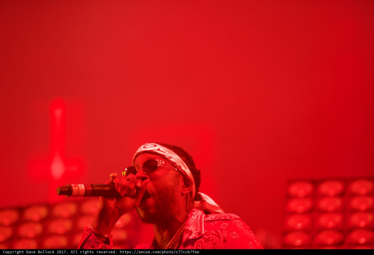 Red Bandana and Sunglasses