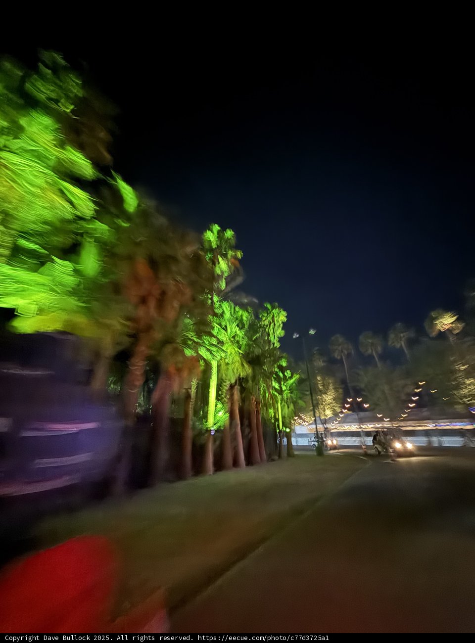Night Lights of Indio