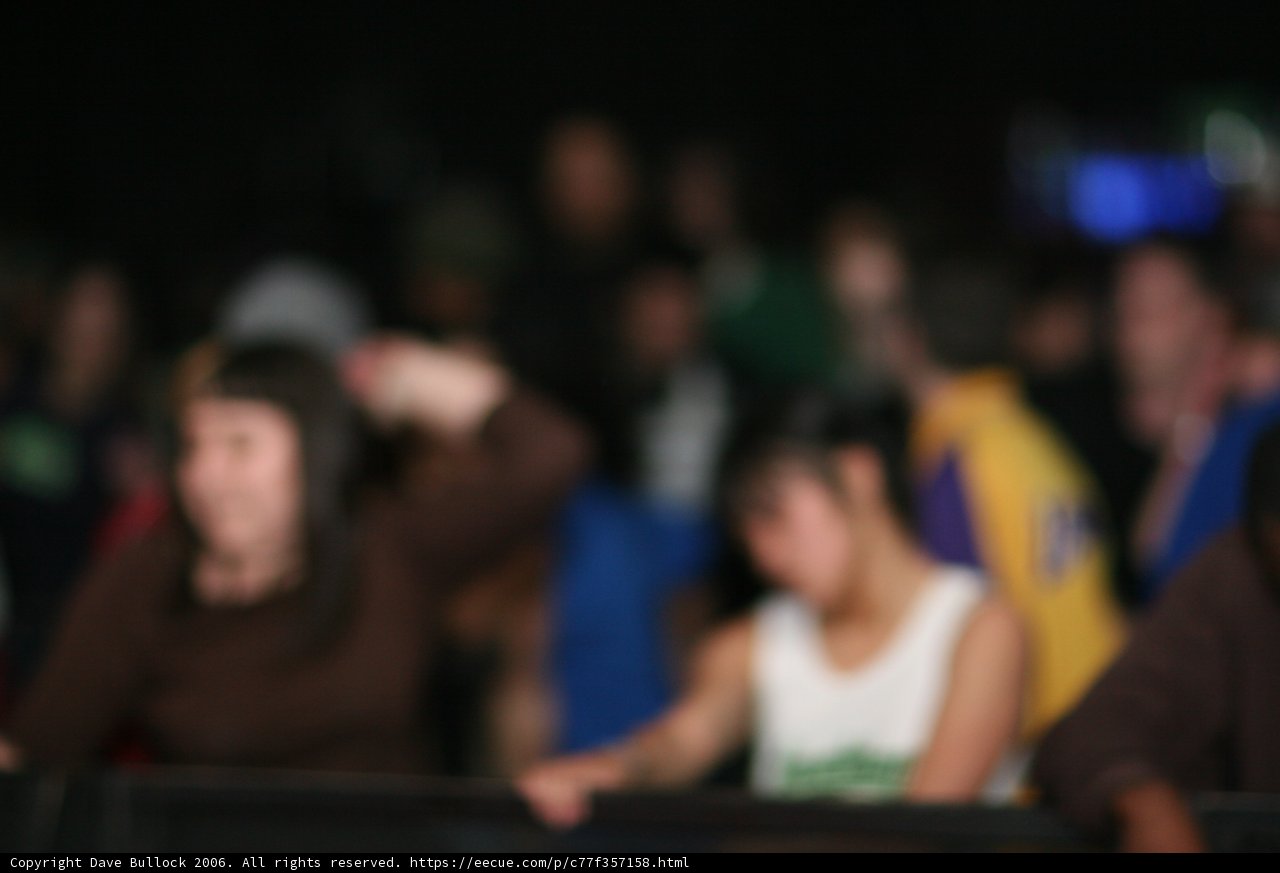 Blurry Concert-goers