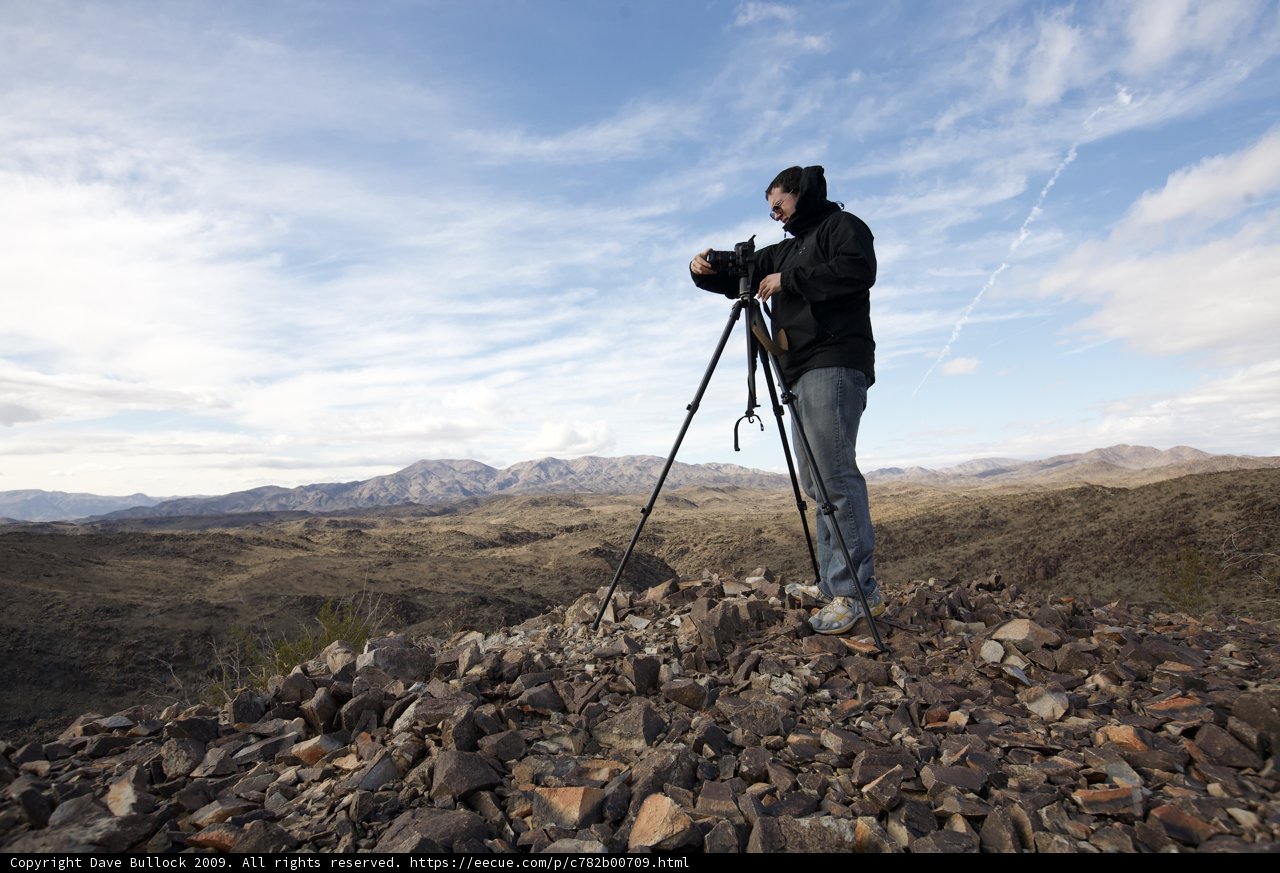 Capturing the Majestic Joshua Tree