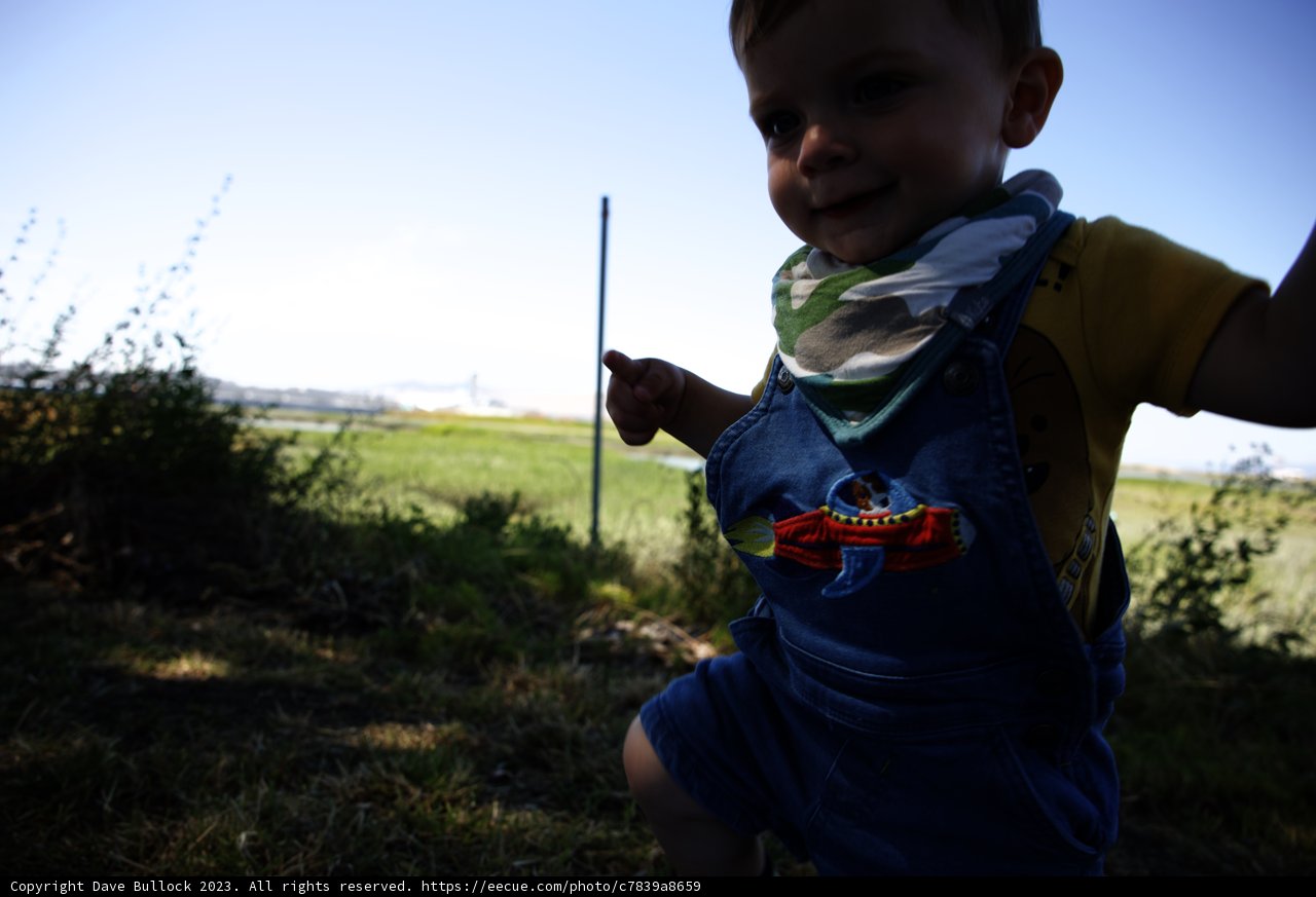 The Little Explorer of Bayfront Park