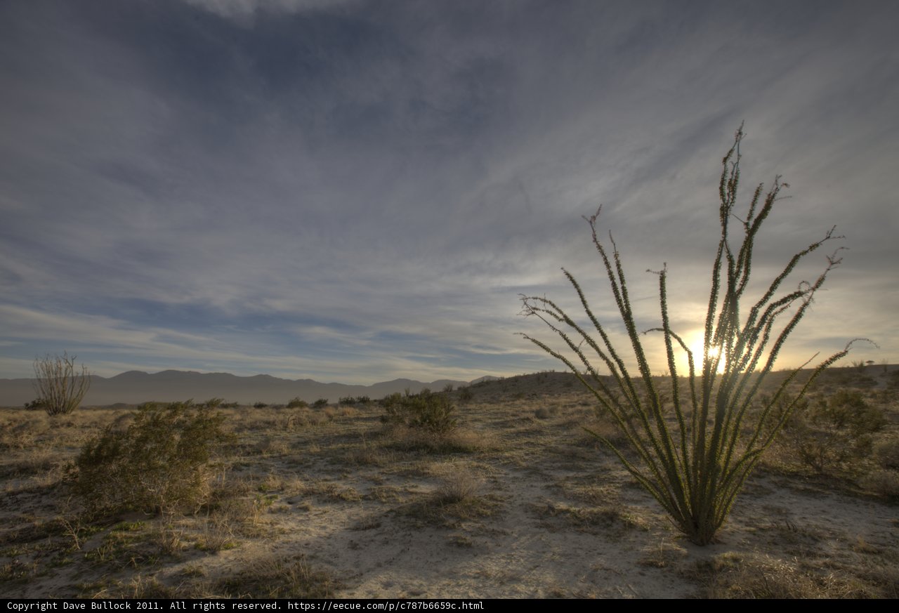 Solitude in the Desert