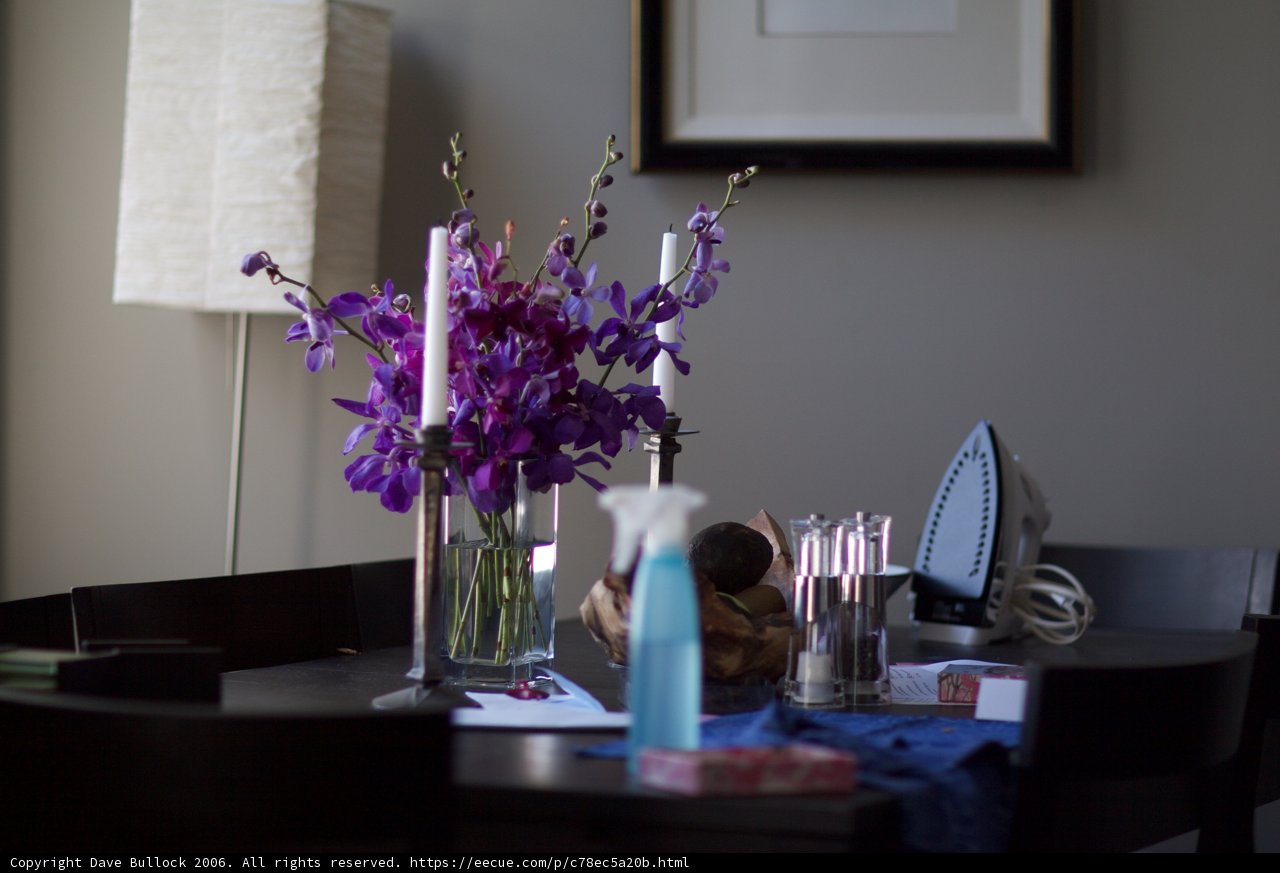 Contrasting Vases on a Table