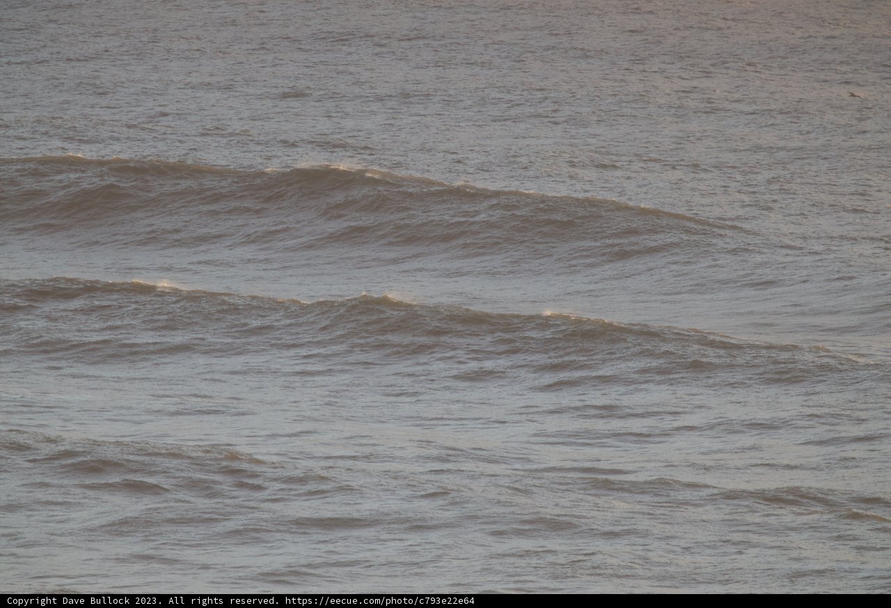 A Ride with the Pacific Waves