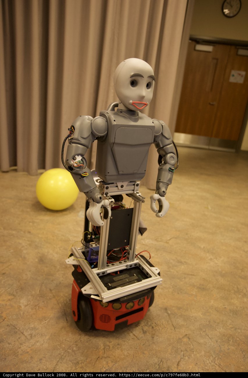 Little Bot, Big Brain