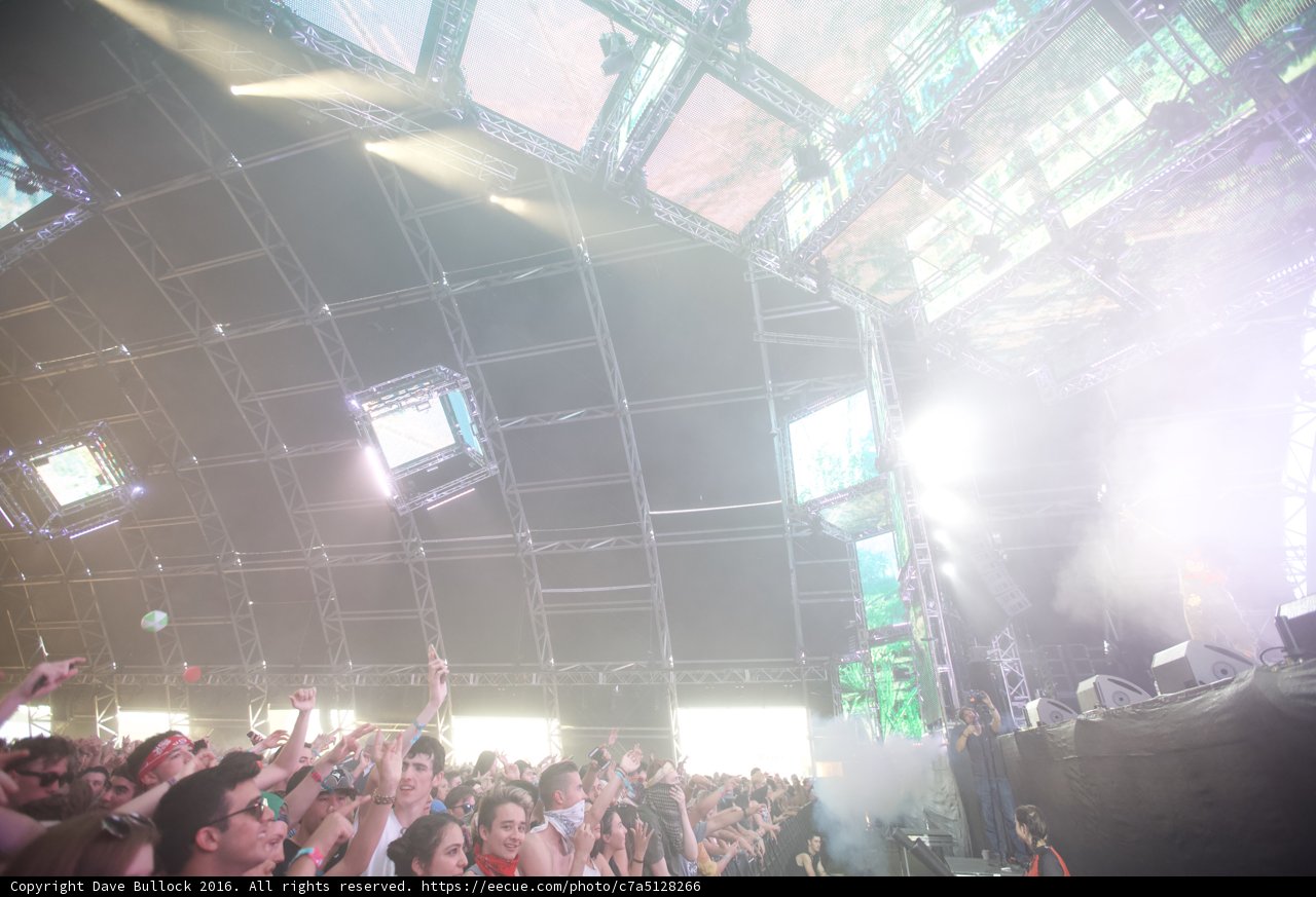 Coachella 2016 Crowd with Hands Up