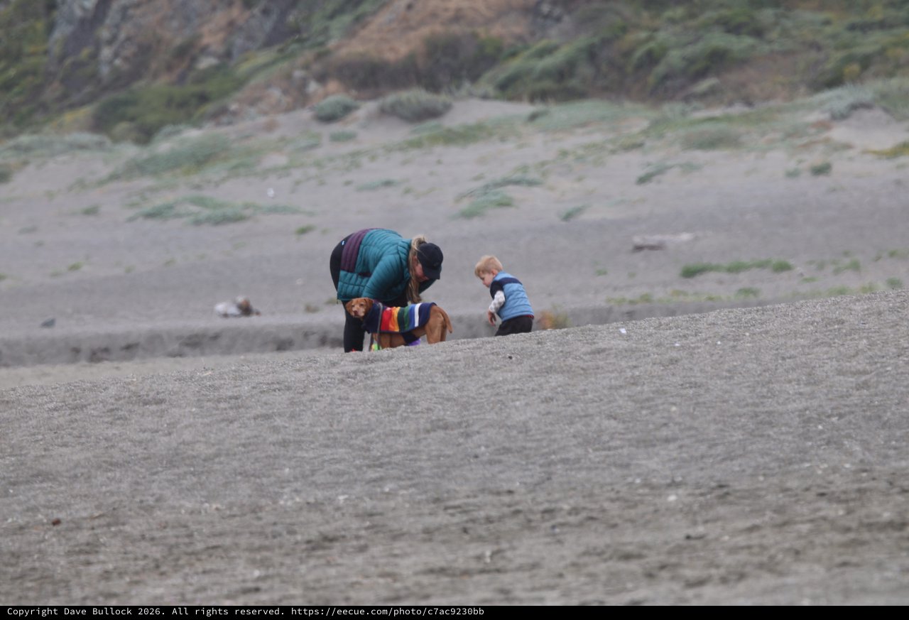 Family Beach Moment with Dog in Rainbow Sweater