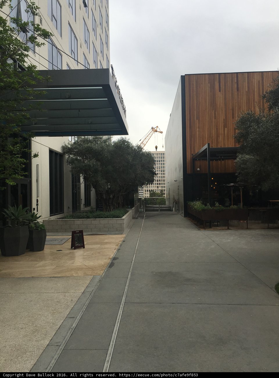 Urban Oasis