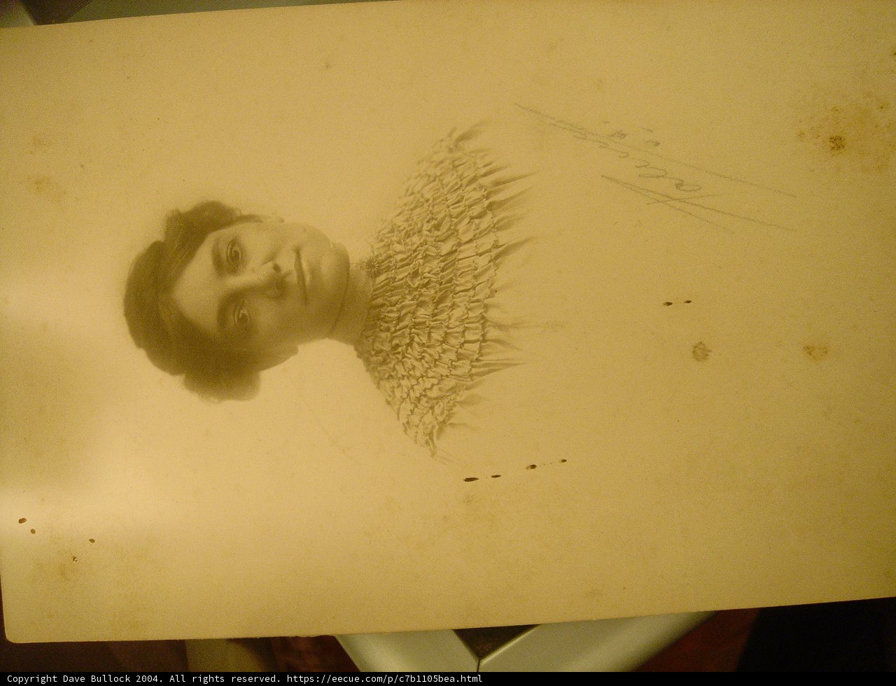 Portrait of a Woman from the Early 1900s