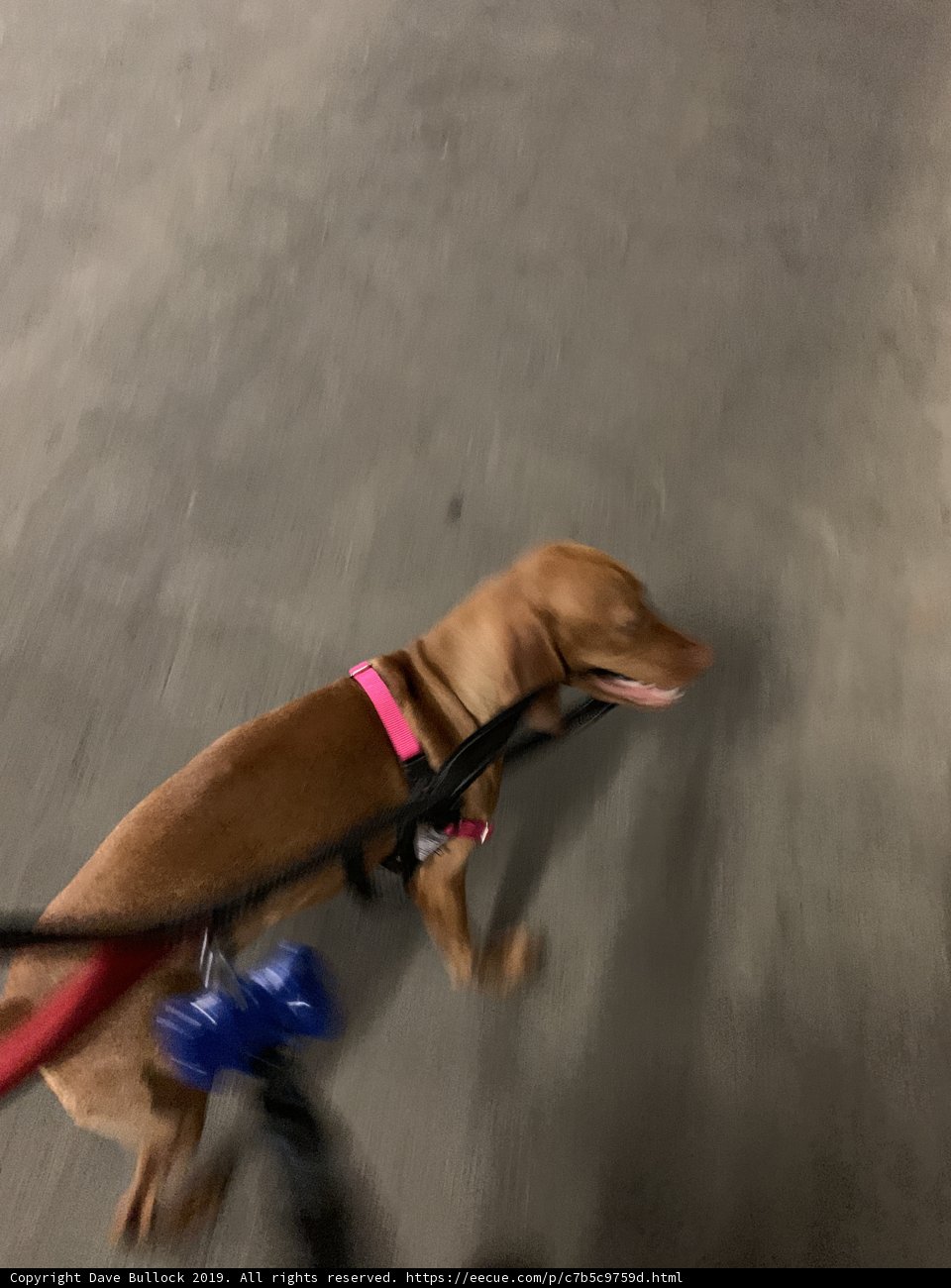 Stylish Walks in LA