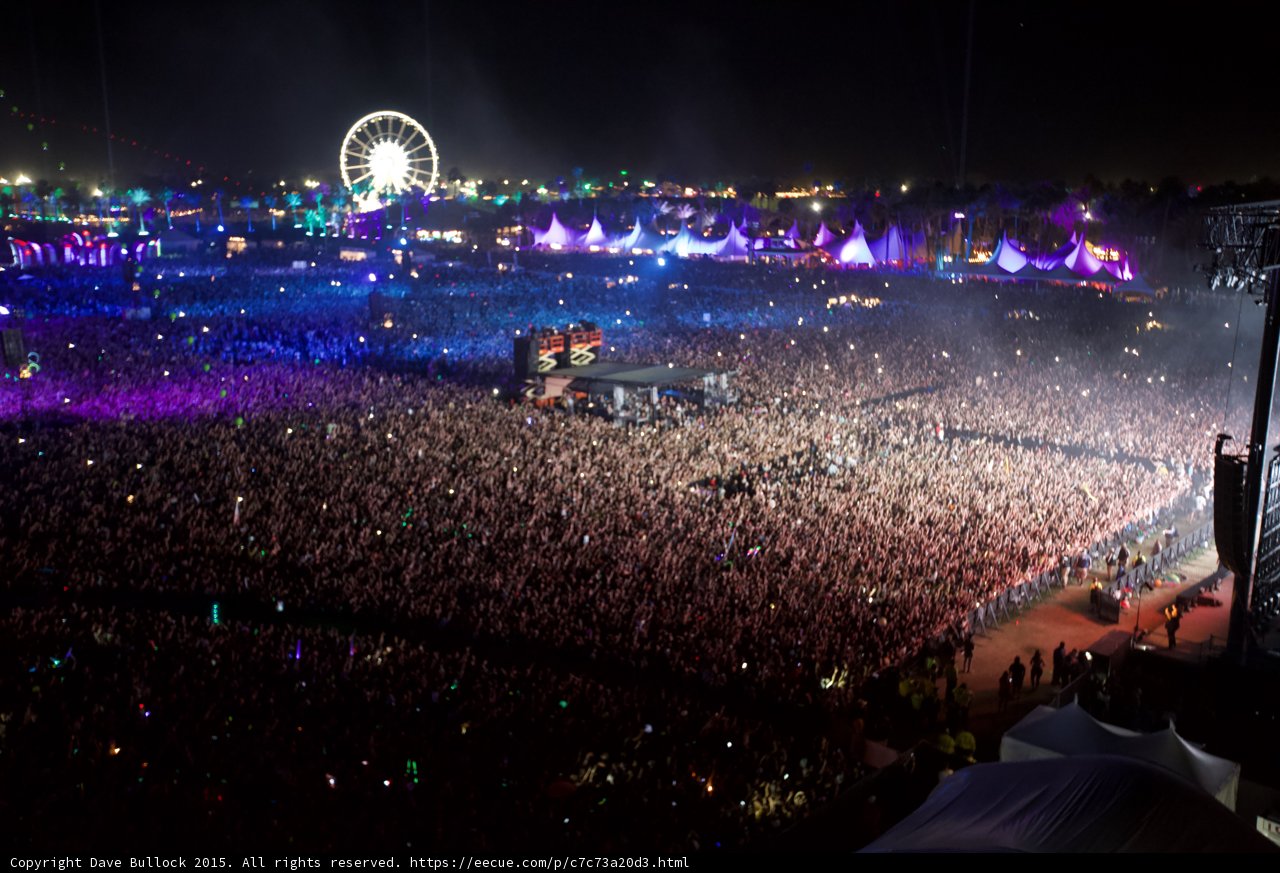 Electric Nights at Coachella