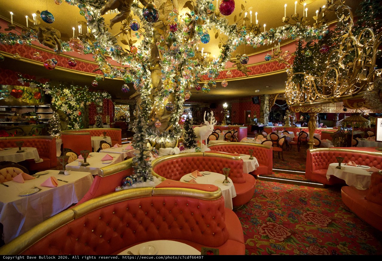 Lavishly Decorated Christmas Restaurant with Ornate Tree Display