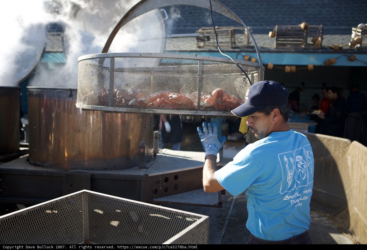 Grilling Up a Feast at the Lobster Festival