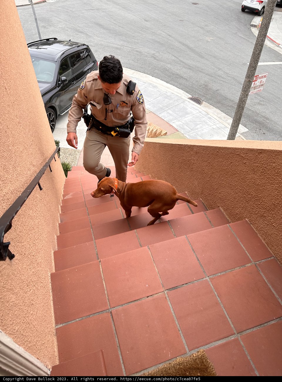 Guardian of the City: Officer and Companion