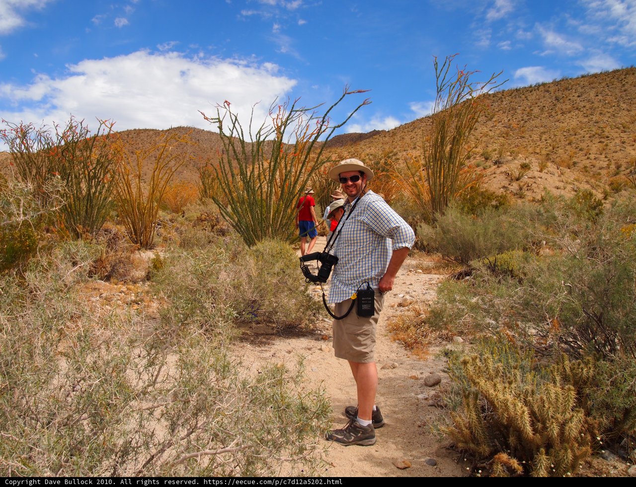 The Photographer's Journey Caption: Dave B capturing the beauty of the wilderness on his camera during a hiking adventure in the Anza Penelope desert, with a stunning blue sky and cloudy backdrop.