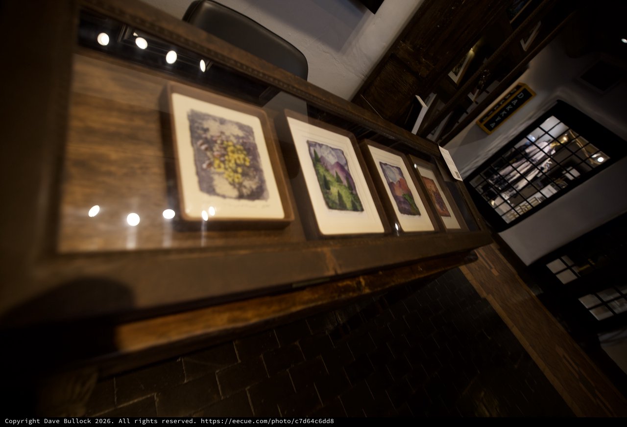 Illuminated Gallery Wall Display in Contemporary Restaurant