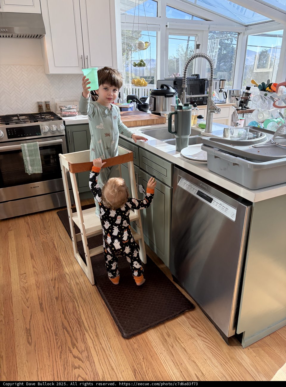 Morning Mischief in the Kitchen
