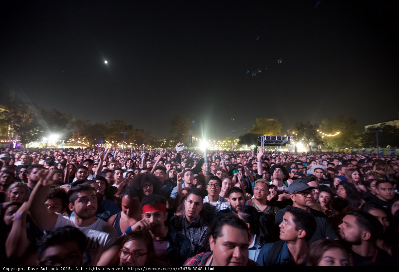 Festival Crowd Wide Shot