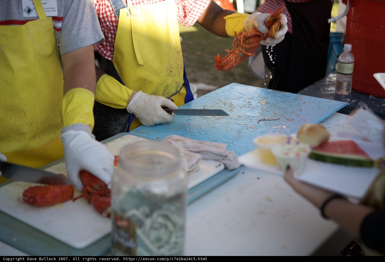 Lobster Cutting