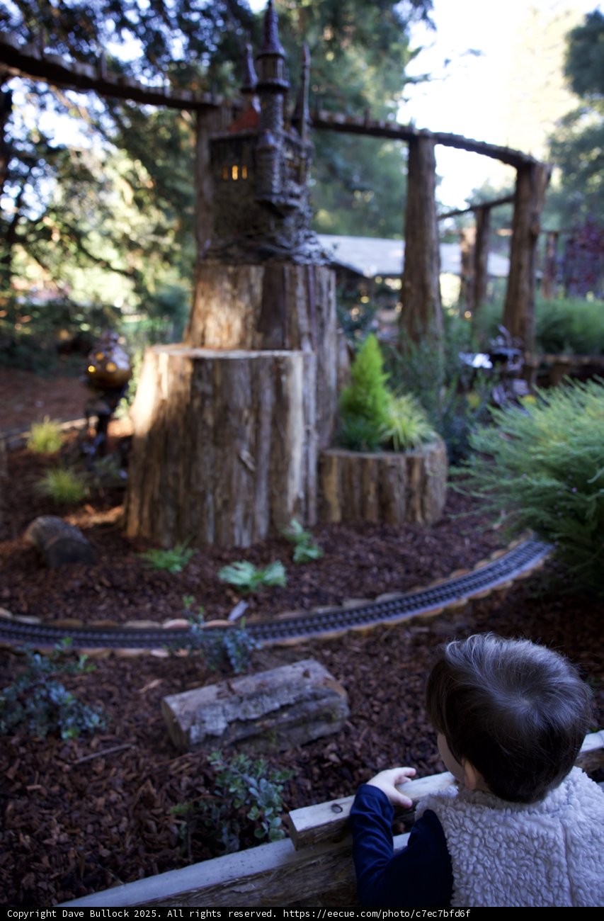 Enchanted Exploration at Thistlewyck