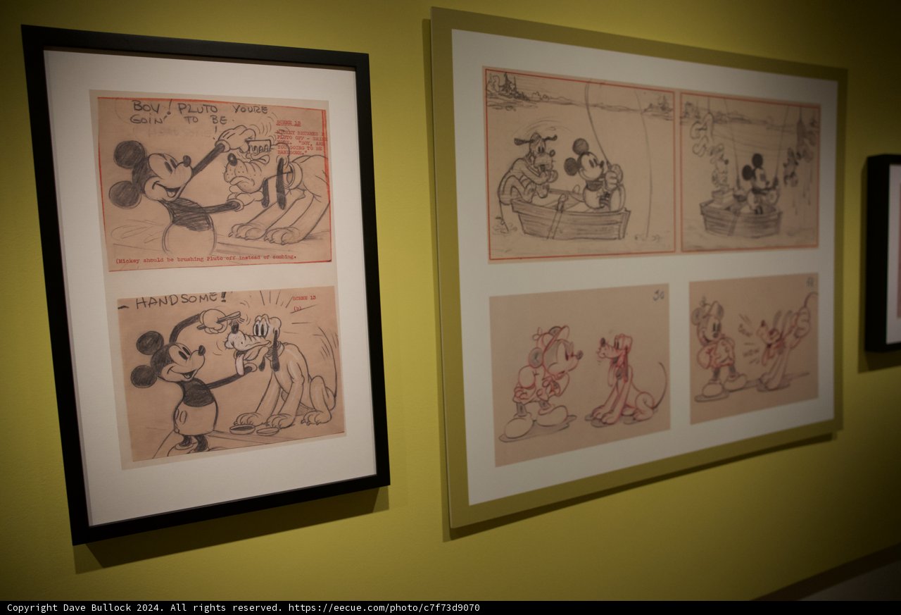 Magical Artistry at Disneyland: A Mickey Mouse Extravaganza