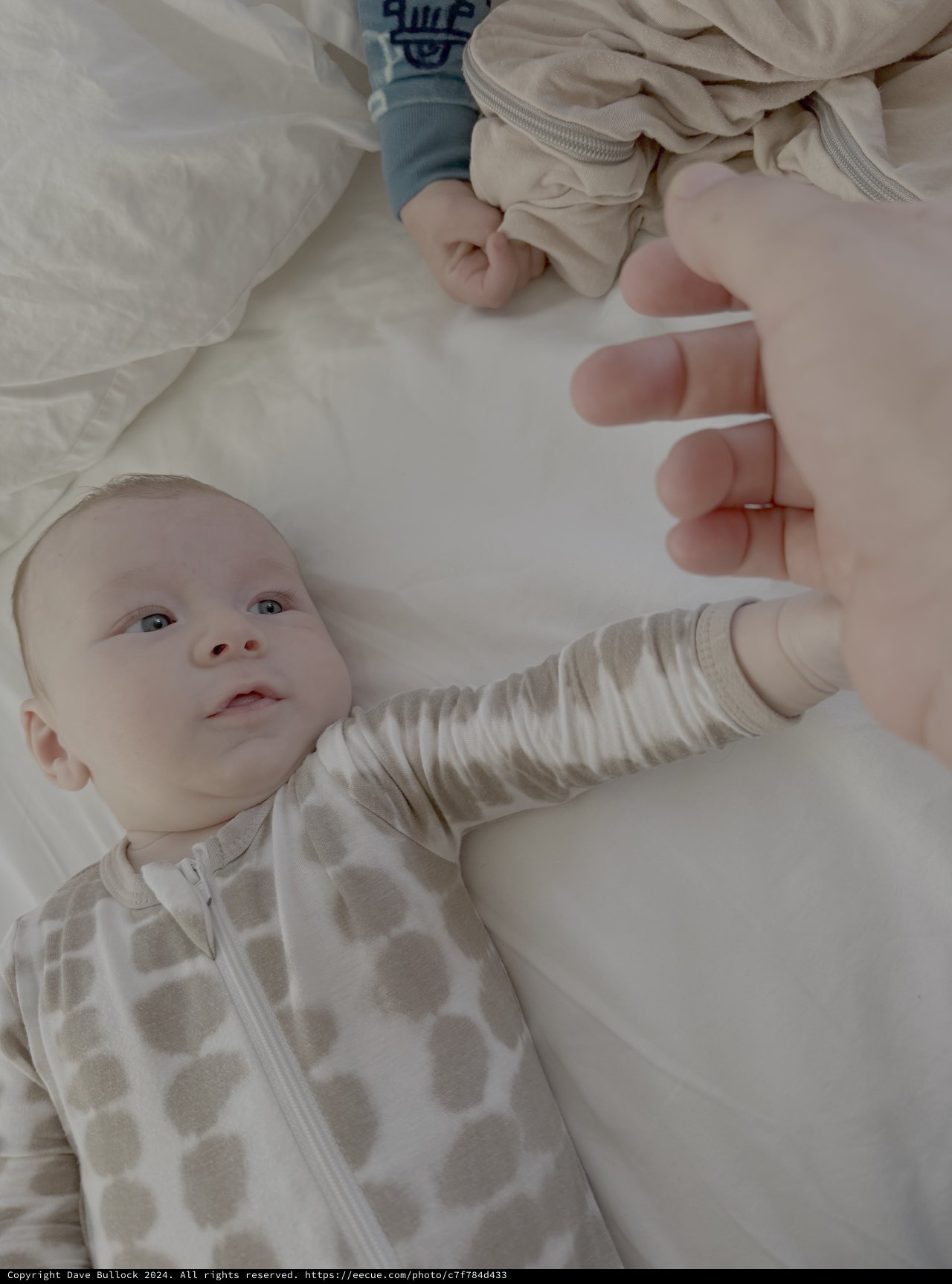 Baby's First Moments with Parent's Loving Hand