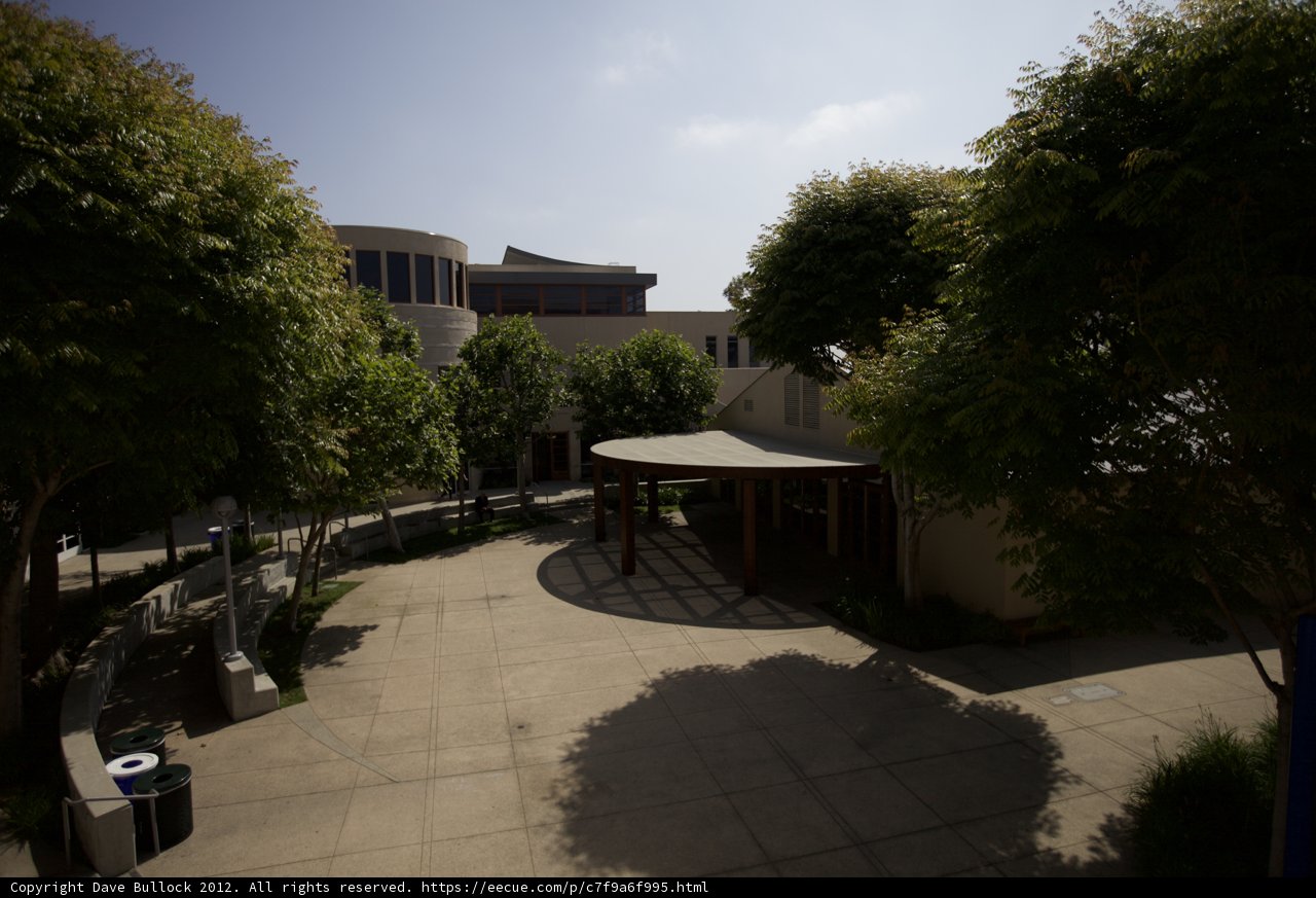 Tranquility in the Temple Brawerman School Courtyard