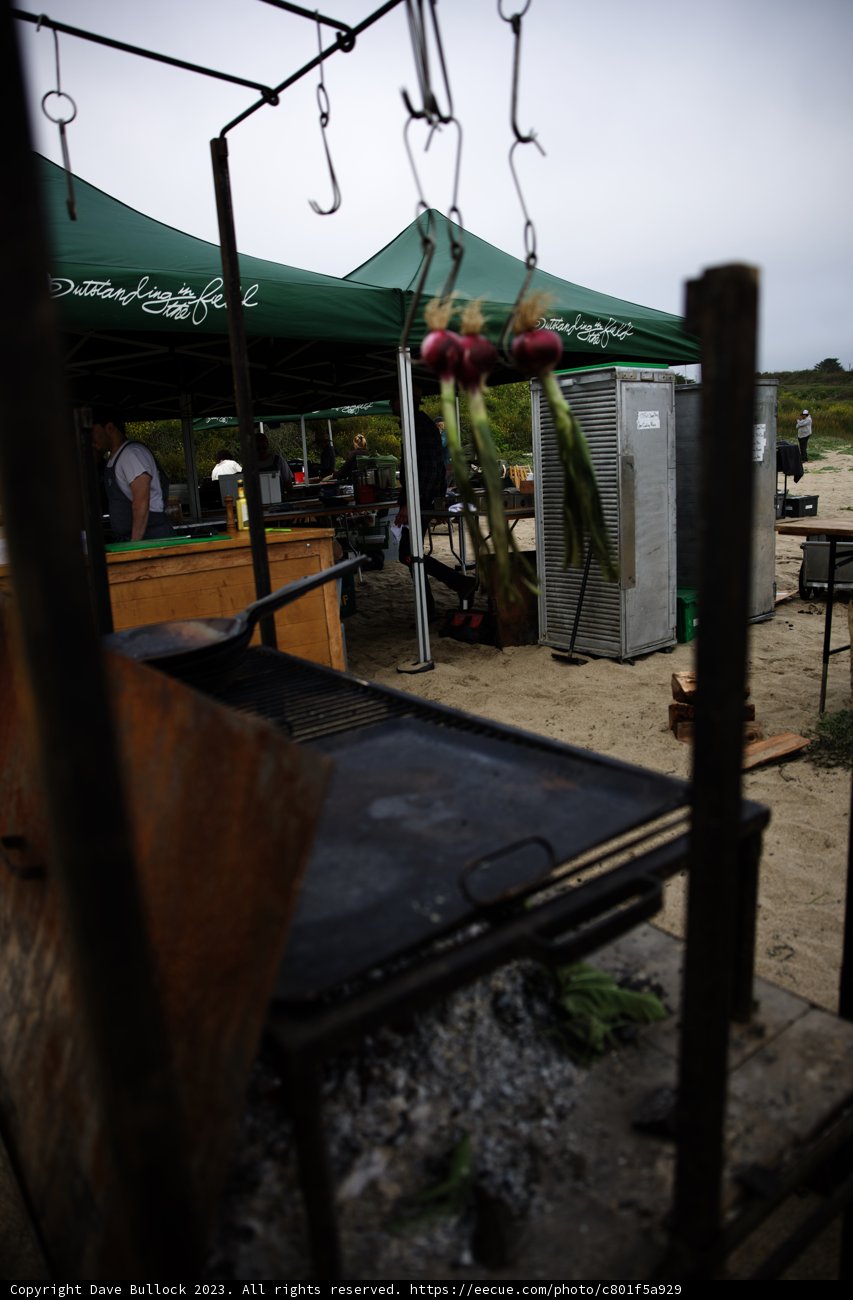Rustic Beachside BBQ in Pescadero