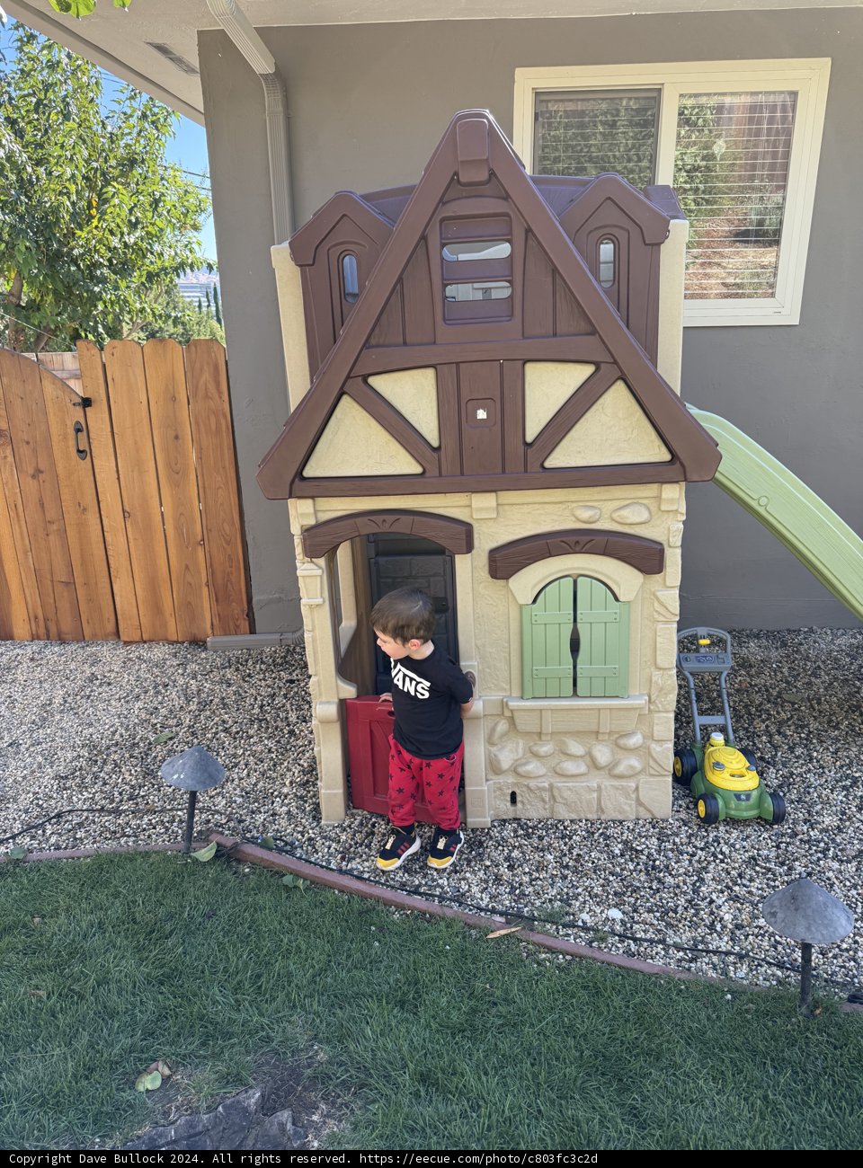 Backyard Adventures
