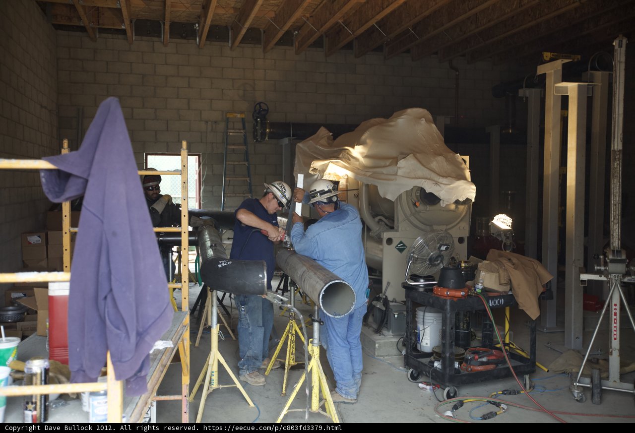 Working on the Temple Coffer Borer