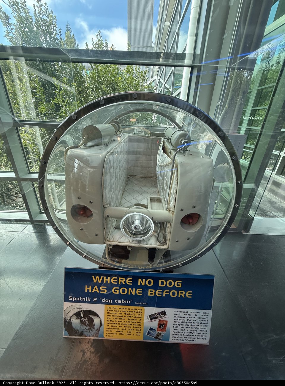 Canine Cosmonaut Capsule