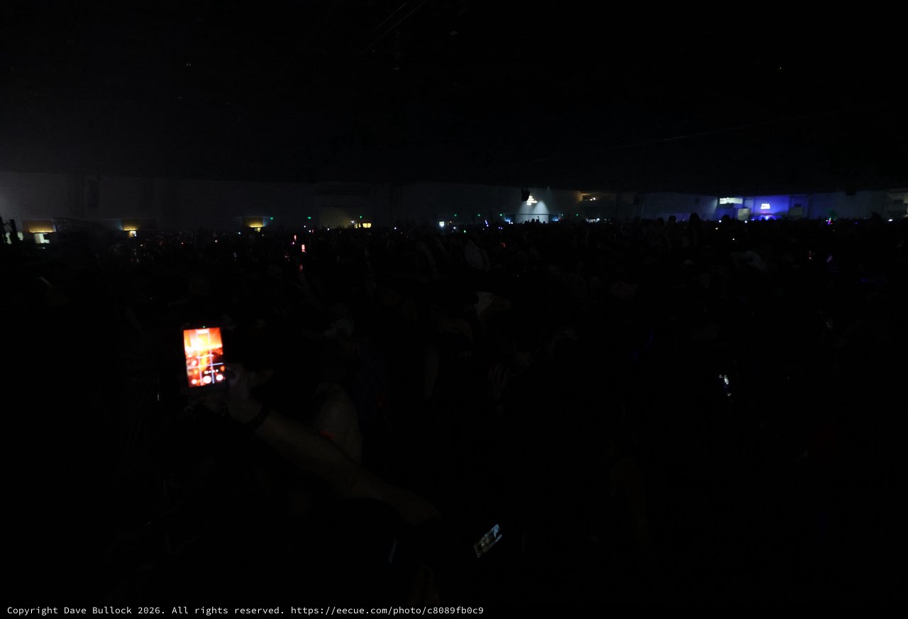 Sea of Shadows: Wobbleland Festival Crowd at Night